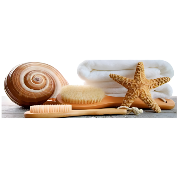 Cenefa Nautilus